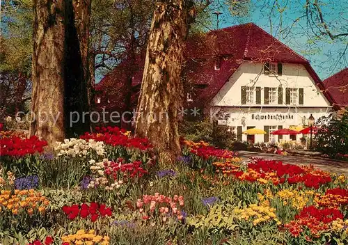 AK / Ansichtskarte Insel Mainau Schwedenschenke im Fruehlingskleid Blumen Kat. Konstanz Bodensee