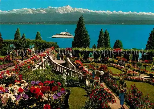 AK / Ansichtskarte Insel Mainau Rosengarten Faehre Alpen Kat. Konstanz Bodensee