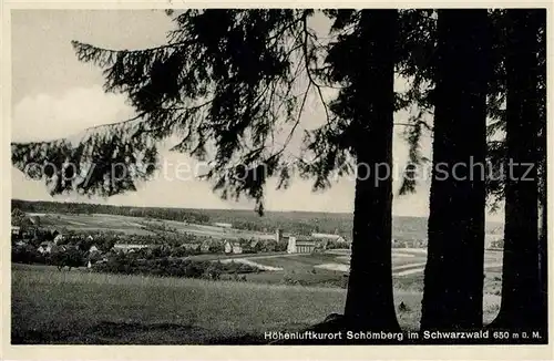 AK / Ansichtskarte Schoemberg Freudenstadt Panorama Kat. Seewald