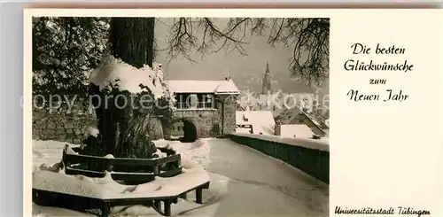 AK / Ansichtskarte Tuebingen Schlosstor Kat. Tuebingen