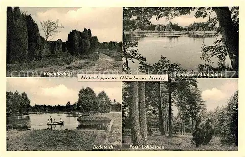 AK / Ansichtskarte Holm Seppensen Buesenbachtal Muehlenteich Badeteich Forst Lohbergen Kat. Buchholz in der Nordheide