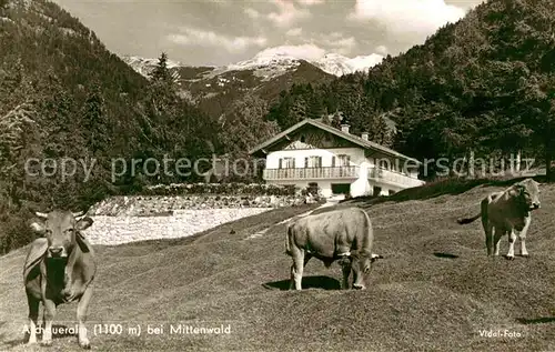 AK / Ansichtskarte Mittenwald Bayern Aschaueralm Kat. Mittenwald