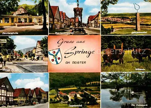 AK / Ansichtskarte Springe Deister Wisente Mariabrunnen Markt Jadgschloss Kat. Springe