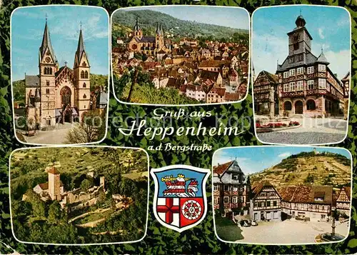 AK / Ansichtskarte Heppenheim Bergstrasse Burgcafe Falknerei Starkenburg Kat. Heppenheim (Bergstrasse)