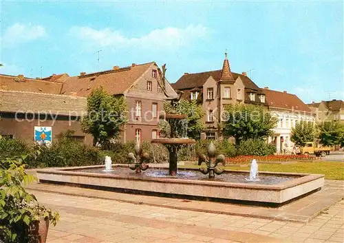 AK / Ansichtskarte Elsterwerda Wappenbrunnen Markt Kat. Elsterwerda