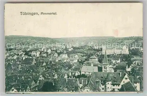 AK / Ansichtskarte Tuebingen Ammertal Panorama Kat. Tuebingen