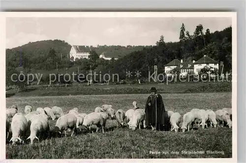 AK / Ansichtskarte Tuebingen Schafherde Steinlachtal Blaesiberg Kat. Tuebingen