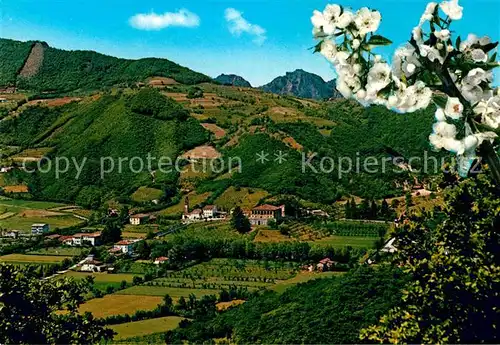 AK / Ansichtskarte Colli Euganei Panorama Baumbluete Kat. Italien