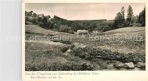 AK / Ansichtskarte Schoemberg Schwarzwald Panorama Kat. Schoemberg