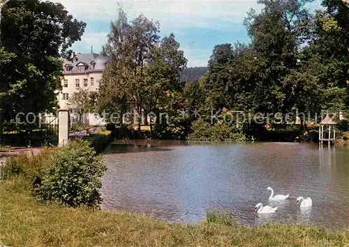 AK / Ansichtskarte Waechtersbach Schloss Schlossteich Schwaene Kat. Waechtersbach