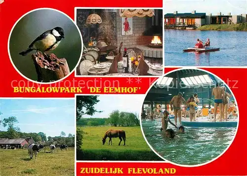 AK / Ansichtskarte Zuidelijk Bungalowpark de Eemhof