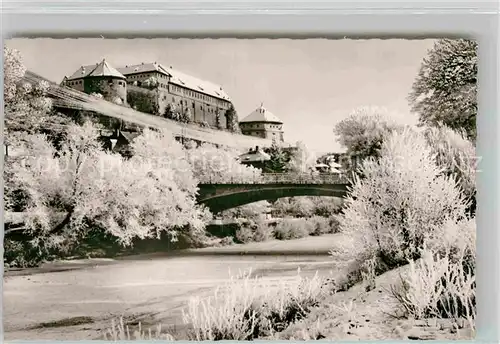 AK / Ansichtskarte Tuebingen Neckar mit Schlossblick