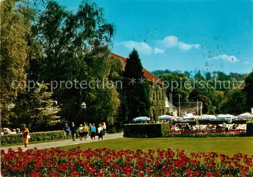 AK / Ansichtskarte Bad Driburg Kurpark Kat. Bad Driburg