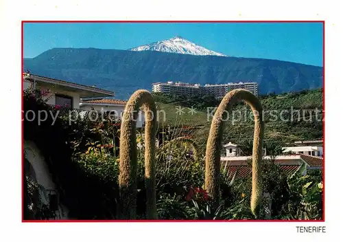 AK / Ansichtskarte Tenerife El Teide  Kat. Islas Canarias Spanien