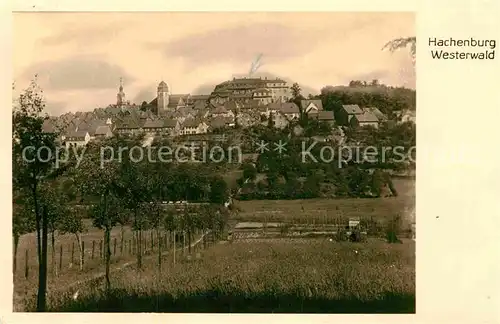 AK / Ansichtskarte Hachenburg Westerwald Schloss Panorama Kat. Hachenburg