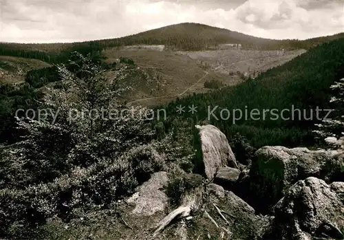 AK / Ansichtskarte Hundseck Felsformation an der Schwarzwaldhochstrasse Kat. Sasbach