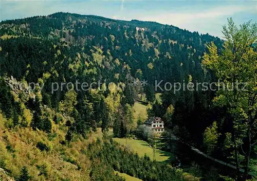 AK / Ansichtskarte Buehlertal Haus Gertelbach Kat. Buehlertal