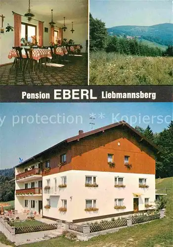 AK / Ansichtskarte Grattersdorf Pension Eberl  Kat. Grattersdorf