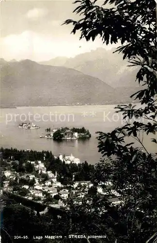 AK / Ansichtskarte Stresa Lago Maggiore Panorama