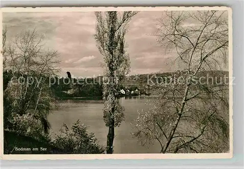 AK / Ansichtskarte Bodman Bodensee Panorama