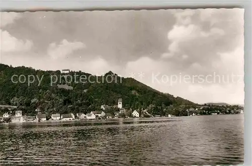 AK / Ansichtskarte Bodman Bodensee Schloss Frauenberg Ruine