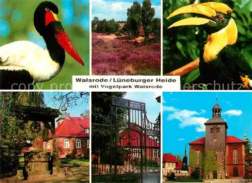 AK / Ansichtskarte Walsrode Lueneburger Heide Vogelpark Kat. Walsrode