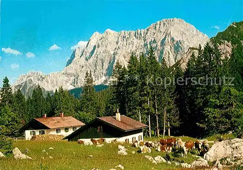 AK / Ansichtskarte Mittenwald Bayern Vereinsalm Kat. Mittenwald