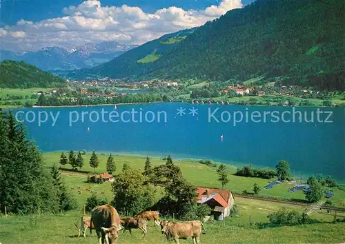 AK / Ansichtskarte Buehl Alpsee mit Immenstadt Kat. Immenstadt i.Allgaeu