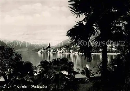 AK / Ansichtskarte Malcesine Lago di Garda Partie am See Kat. Malcesine