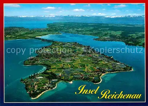 AK / Ansichtskarte Insel Reichenau Alpenkette Fliegeraufnahme Kat. Reichenau Bodensee