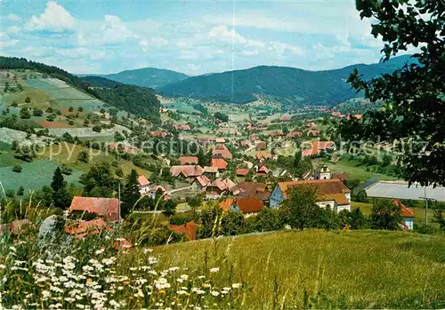 AK / Ansichtskarte Welschensteinach Gasthaus Zum Wilden Mann Kat. Steinach