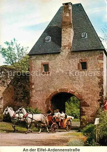 AK / Ansichtskarte Pferdekutschen Eifel Ardennenstrasse  Kat. Tiere