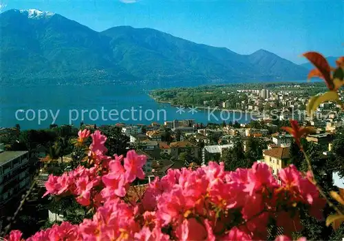 AK / Ansichtskarte Muralto Lago Maggiore Panorama 