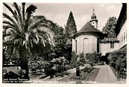 AK / Ansichtskarte Mainau Schlosskirche Phoenixpalme Orangen Zitronenbaeume Kat. Konstanz