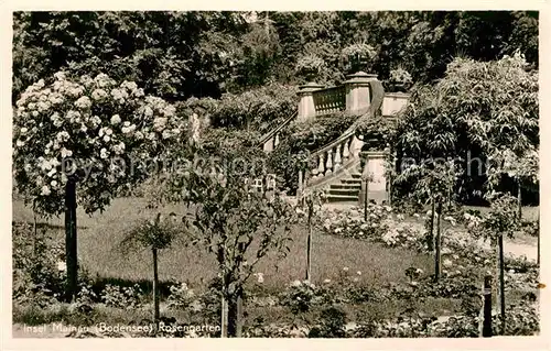 AK / Ansichtskarte Mainau Rosengarten Kat. Konstanz