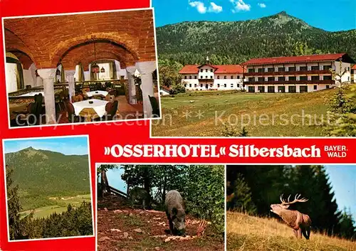 AK / Ansichtskarte Silbersbach Osserhotel  Kat. Lohberg