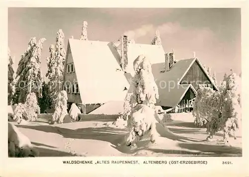 AK / Ansichtskarte Altenberg Erzgebirge Waldschenke Altes Raupennest  Kat. Geising