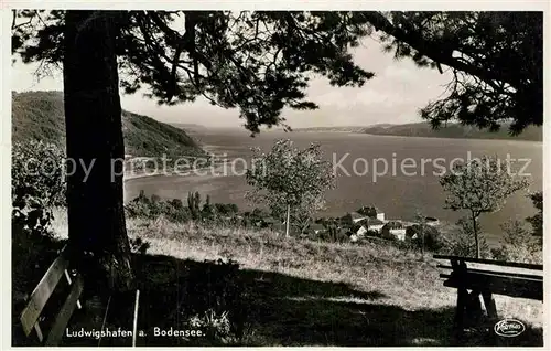 AK / Ansichtskarte Ludwigshafen Bodensee Panorama Kat. Bodman Ludwigshafen