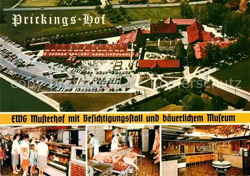 AK / Ansichtskarte Sythen Fliegeraufnahme Europahof Prickings Hof  Kat. Haltern am See