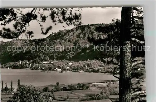 AK / Ansichtskarte Bodman Bodensee Panorama