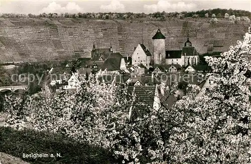 AK / Ansichtskarte Besigheim Panorama  Kat. Besigheim