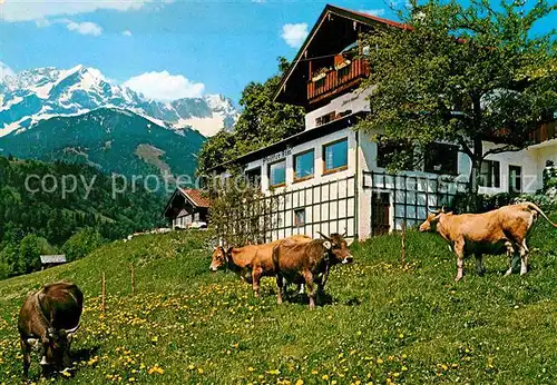 AK / Ansichtskarte Garmisch Partenkirchen Pfeiffer Alm Kat. Garmisch Partenkirchen