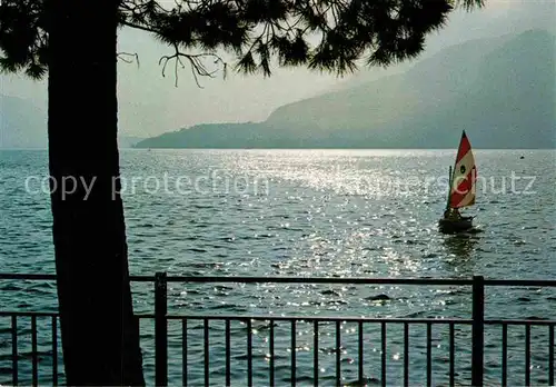 AK / Ansichtskarte Segelboote Lago di Como  Kat. Schiffe