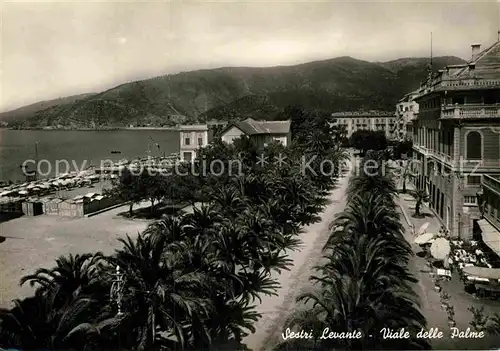 AK / Ansichtskarte Sestri Levante Viale delle Palme Kat. Sestri Levante