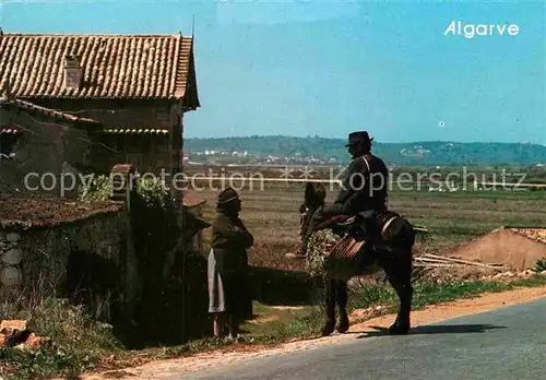 AK / Ansichtskarte Esel Tiere Algarve  Kat. Tiere