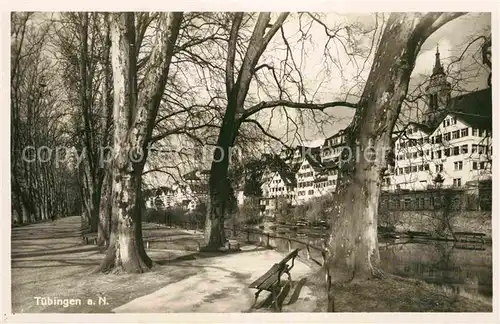 AK / Ansichtskarte Tuebingen Platanenallee Kat. Tuebingen