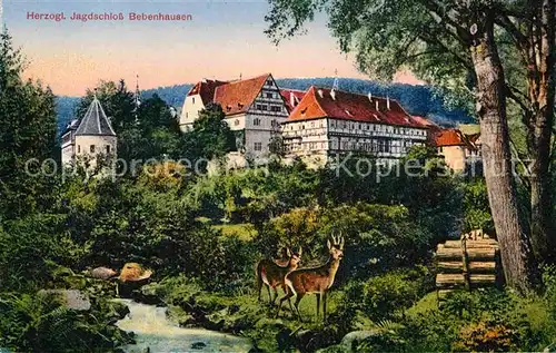 AK / Ansichtskarte Bebenhausen Tuebingen Herzogliches Jagdschloss Kat. Tuebingen