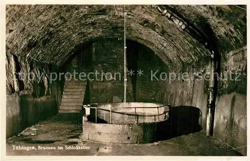 AK / Ansichtskarte Tuebingen Brunnen Schlosskeller Kat. Tuebingen