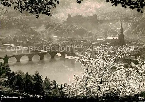 AK / Ansichtskarte Heidelberg Neckar Schloss Bruecke  Kat. Heidelberg