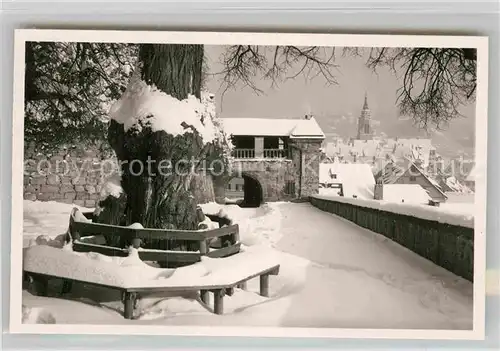 AK / Ansichtskarte Tuebingen Schlosslinde Winter Kat. Tuebingen